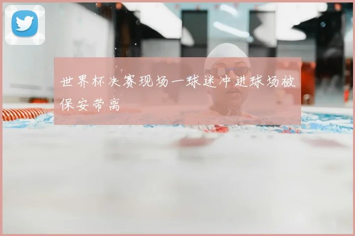 世界杯决赛现场一球迷冲进球场被保安带离