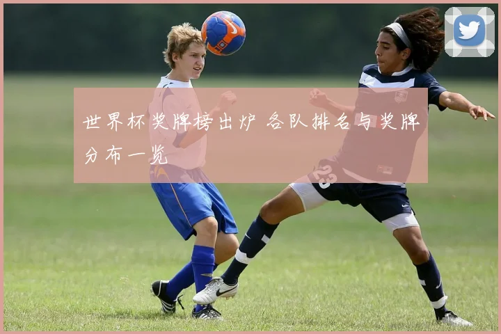 世界杯奖牌榜出炉 各队排名与奖牌分布一览