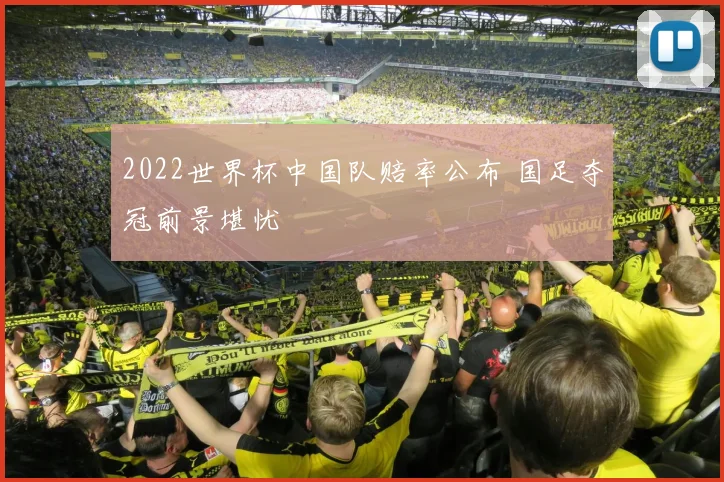 2022世界杯中国队赔率公布 国足夺冠前景堪忧