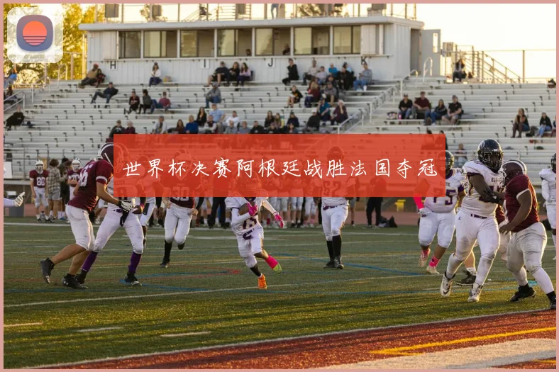 世界杯决赛阿根廷战胜法国夺冠