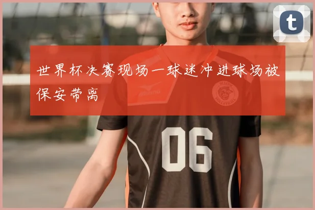 世界杯决赛现场一球迷冲进球场被保安带离