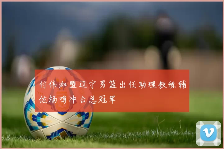 付伟加盟辽宁男篮出任助理教练辅佐杨鸣冲击总冠军