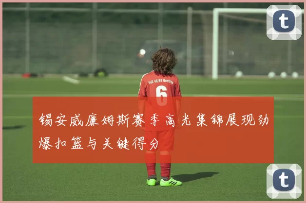 锡安威廉姆斯赛季高光集锦展现劲爆扣篮与关键得分
