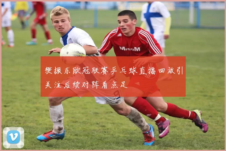 樊振东欧冠联赛乒乓球直播回放引关注后续对阵看点足